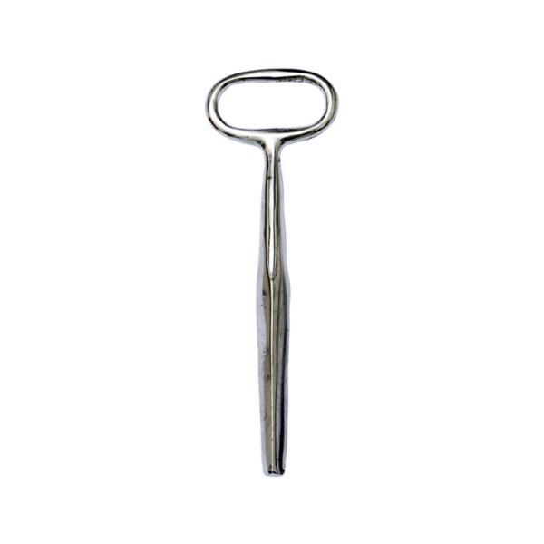 Door Key Large